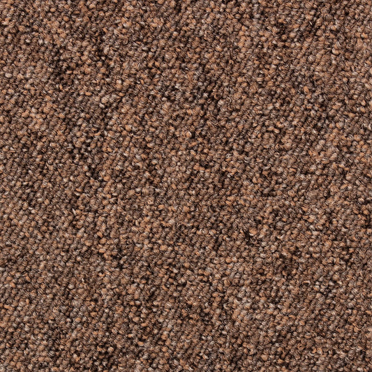 Interfloor Robusta Project-SDN 450