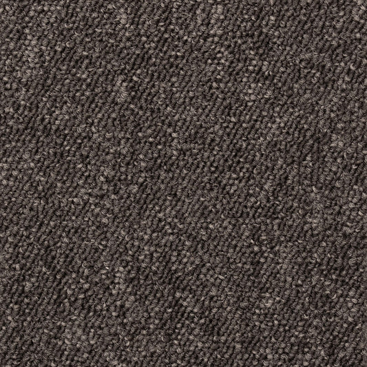 Interfloor Robusta Project-SDN 471