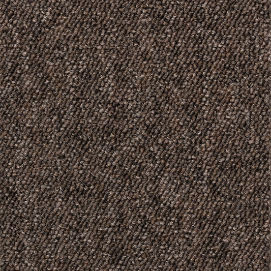 Interfloor Robusta Project-SDN 479