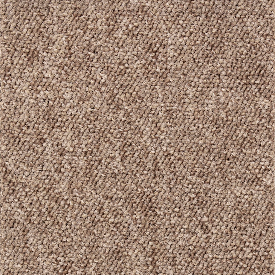 Interfloor Robusta Project-SDN 483