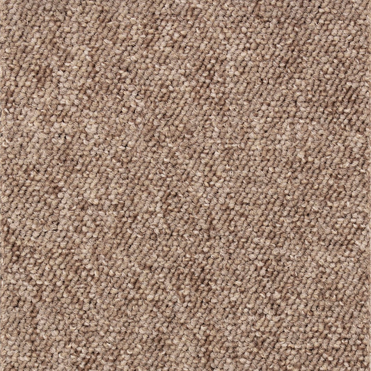 Interfloor Robusta Project-SDN 483