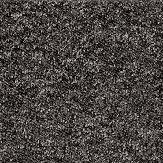 Interfloor Robusta Project-SDN 495