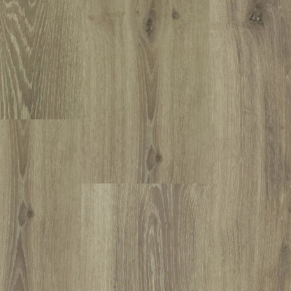 Hebeta Chamonix XL Plank 54813