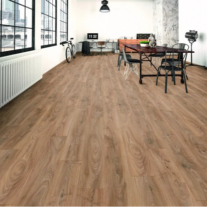 Hebeta Plank Chicago 10-5947