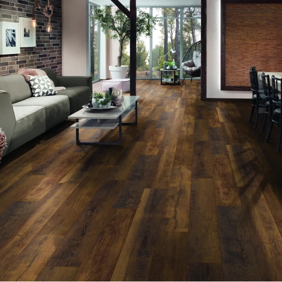 Hebeta Plank Chicago 10-411