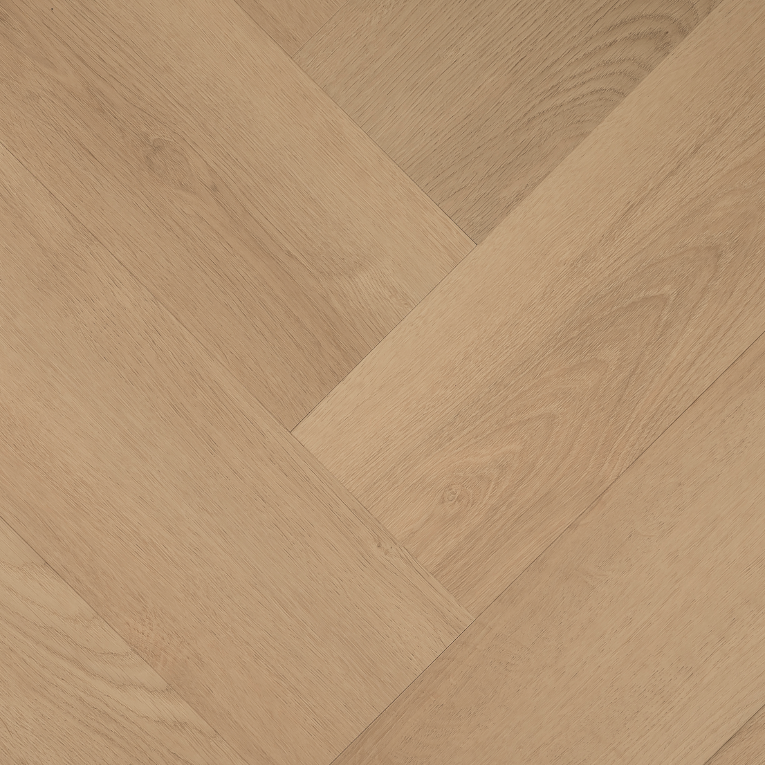 Hebeta Clermont Visgraat XL 77820
