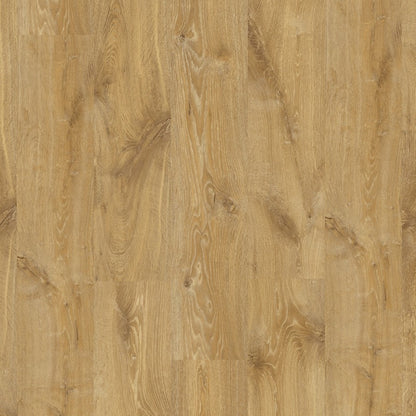 Quickstep Louisiana naturelle eik |  CREO | CRH3176