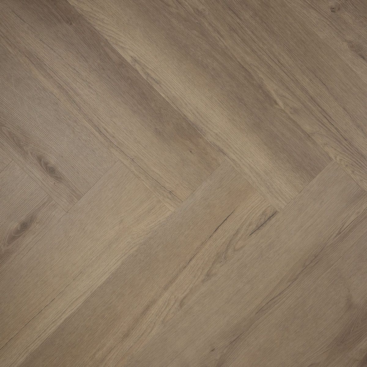 Douwes Dekker Brede visgraat spekkoek dryback