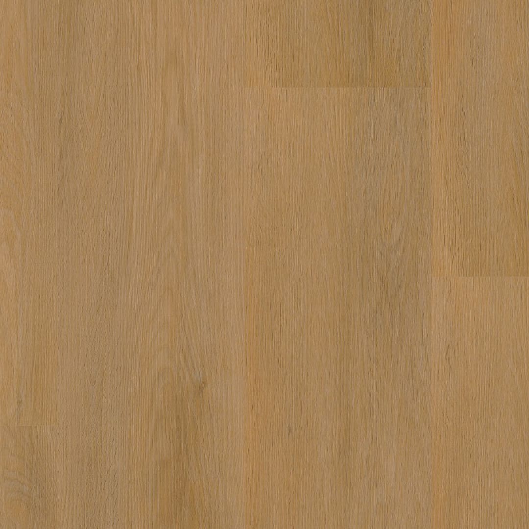 Ambiant Sentima dryback dark oak