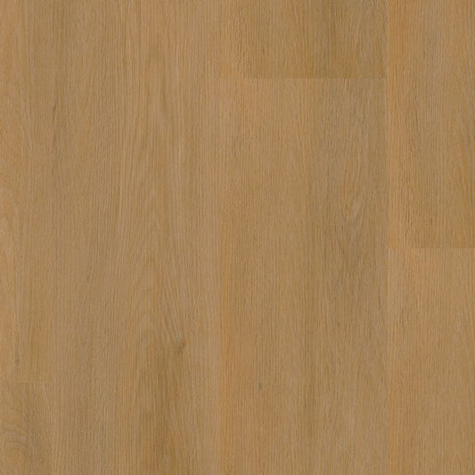 Ambiant Sentima dryback dark oak
