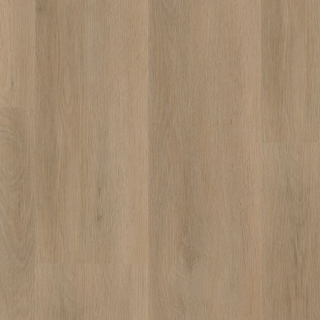 Ambiant Sentima dryback beige