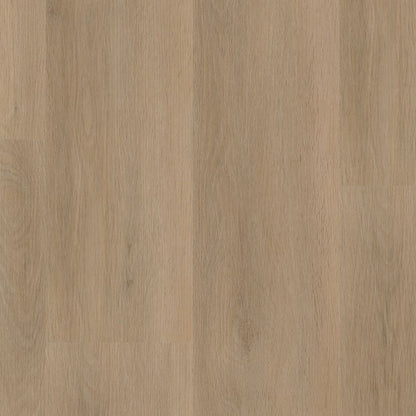Ambiant Sentima dryback beige
