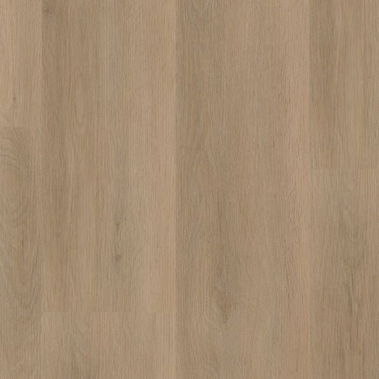 Ambiant Sentima dryback beige