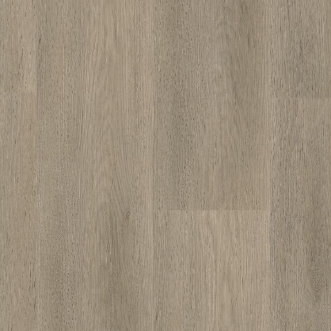 Ambiant Sentima dryback smoky