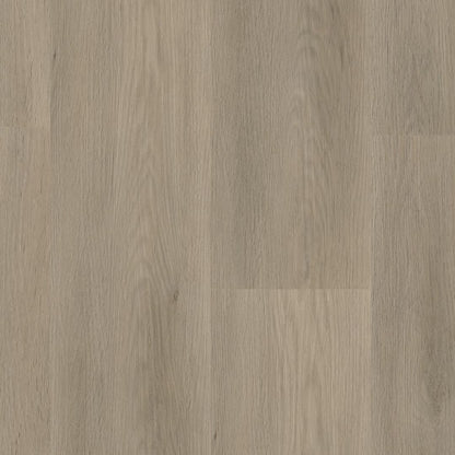 Ambiant Sentima dryback smoky