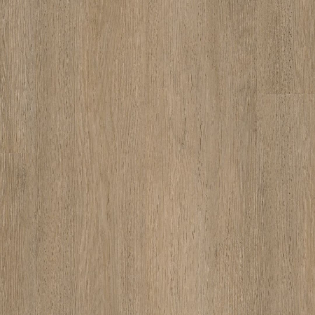 Ambiant Sentima dryback natural oak