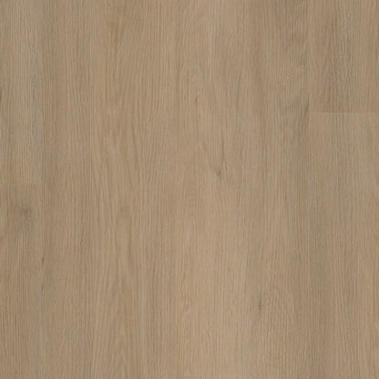 Ambiant Sentima dryback natural oak