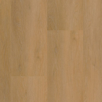 Ambiant Sentima click dark oak