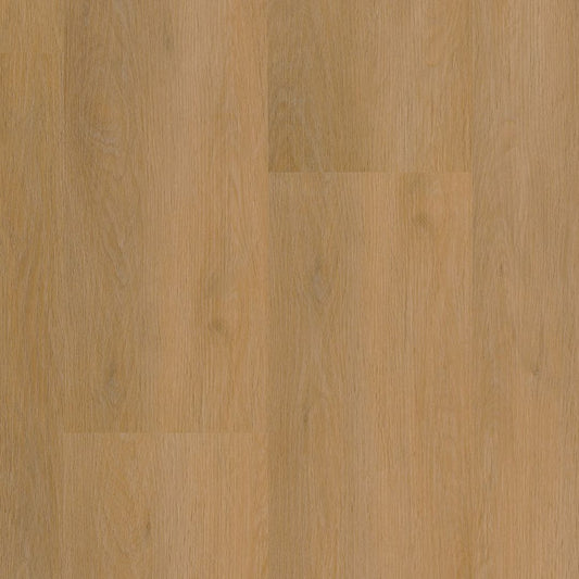 Ambiant Sentima click dark oak