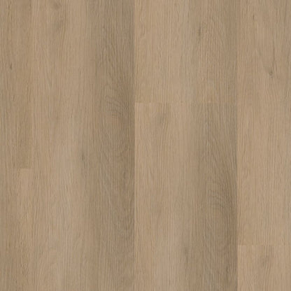 Ambiant Sentima click natural oak