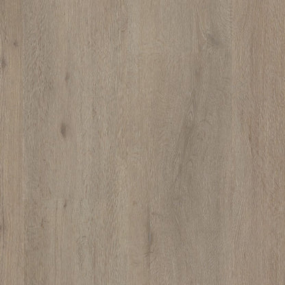 Ambiant Vivero dryback light oak