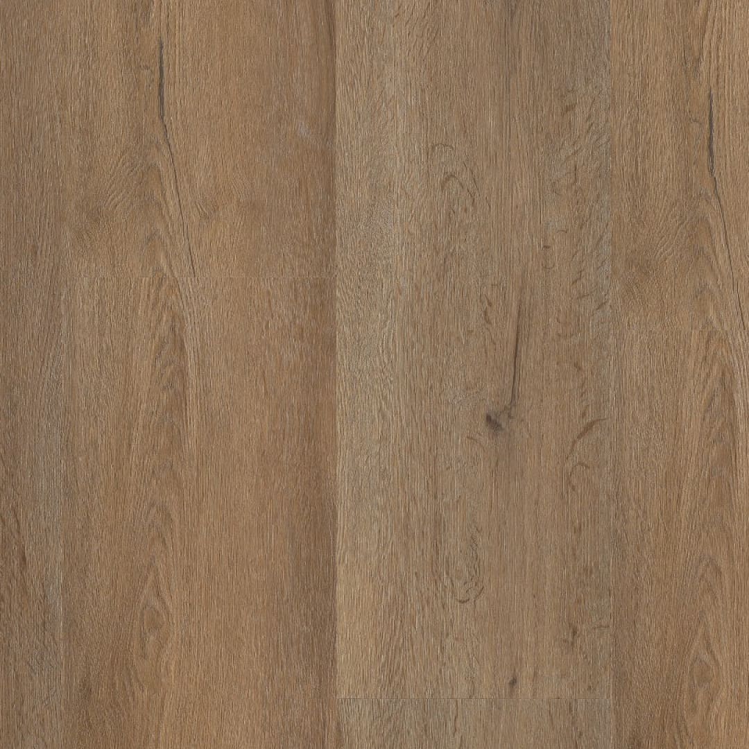 Ambiant Vivero dryback smoky