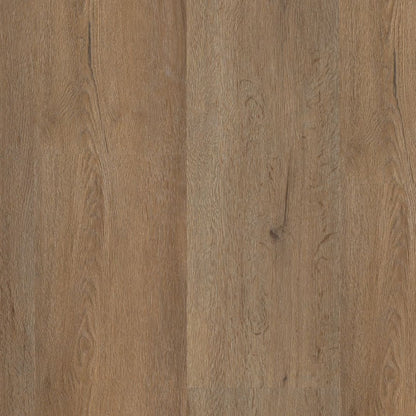 Ambiant Vivero dryback smoky