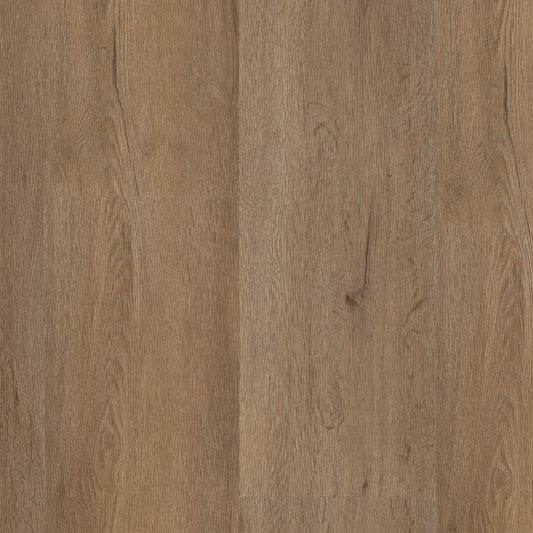 Ambiant Vivero dryback smoky