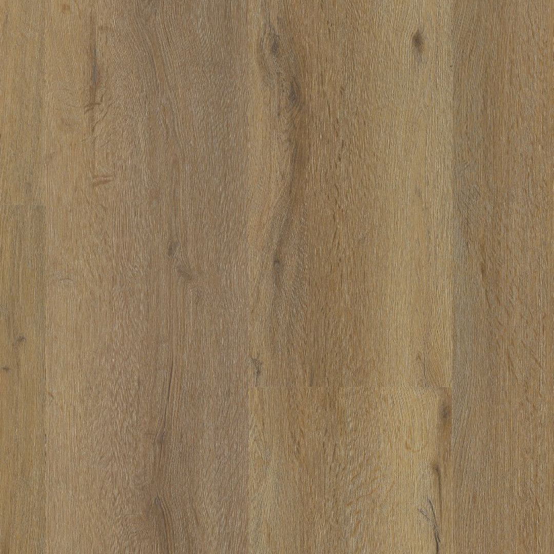 Ambiant Vivero dryback dark oak