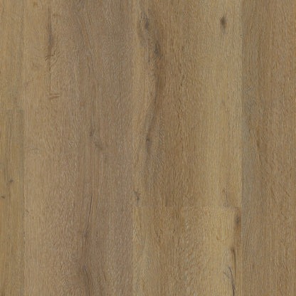 Ambiant Vivero dryback dark oak