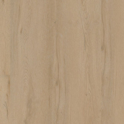Ambiant Vivero dryback beige