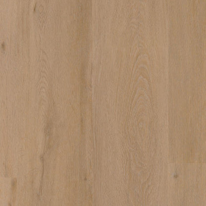 Ambiant Vivero dryback warm oak