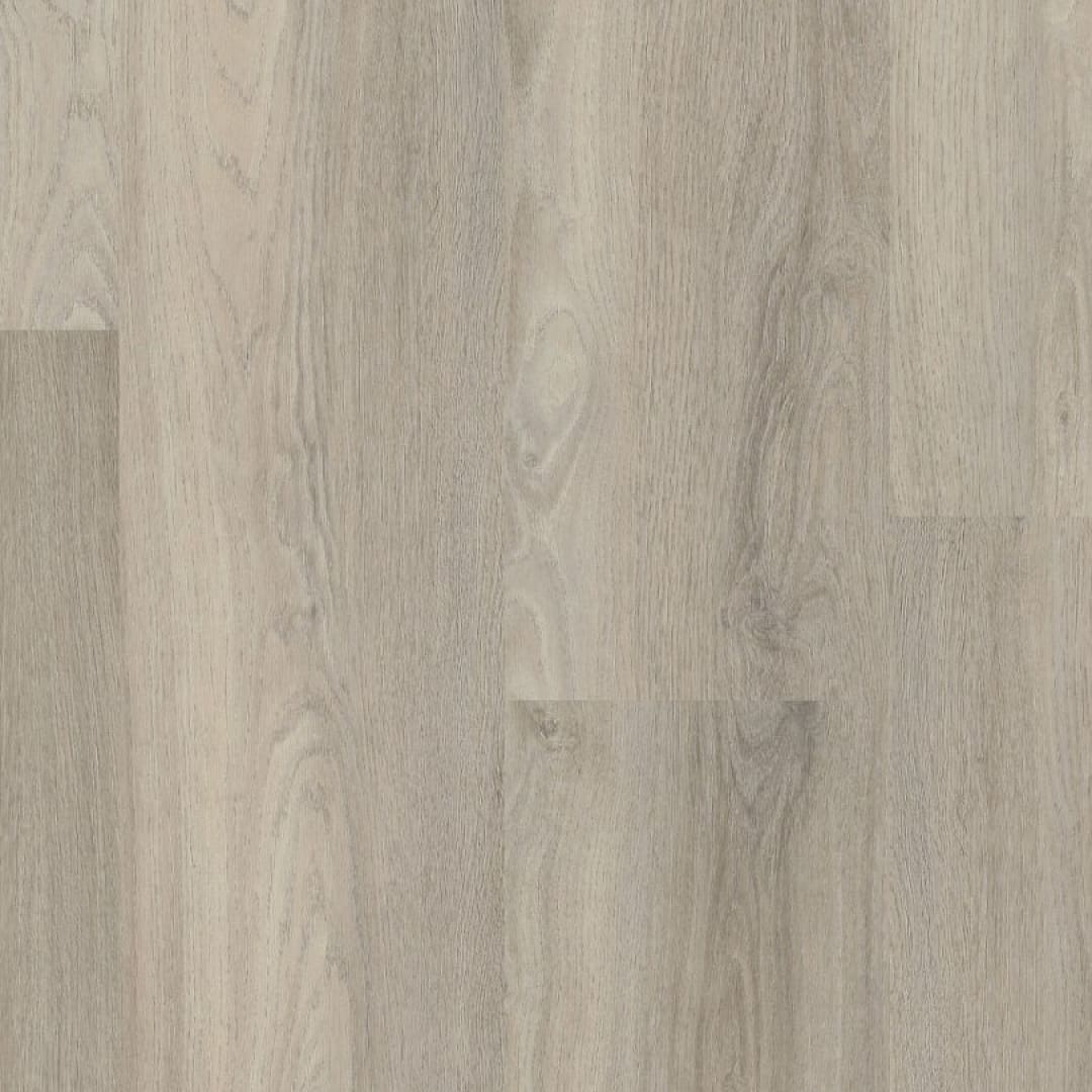 Ambiant Avanto click SRC light grey