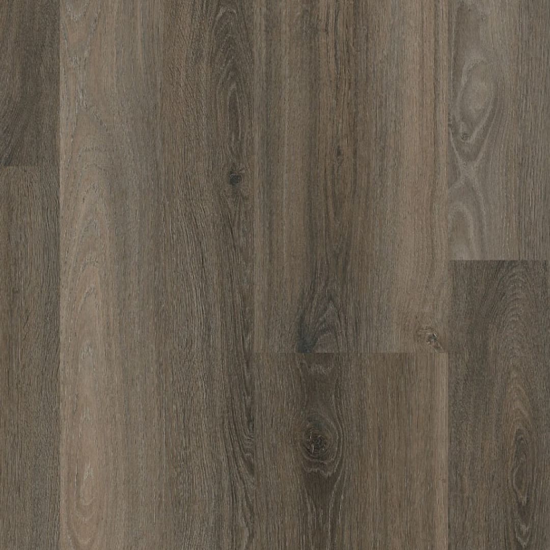 Ambiant Avanto click SRC dark grey