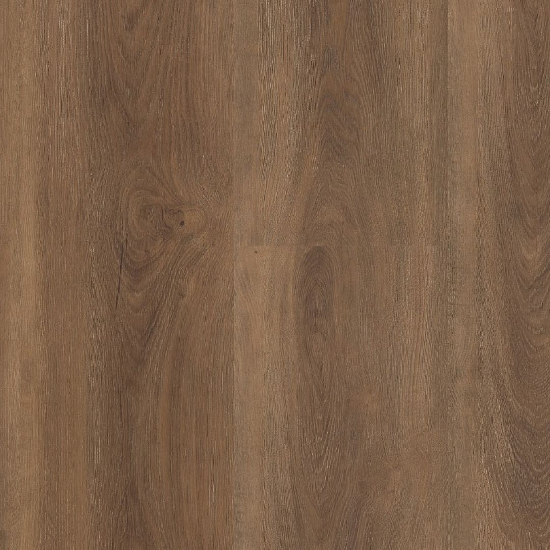 Ambiant Robusto click SRC warm brown