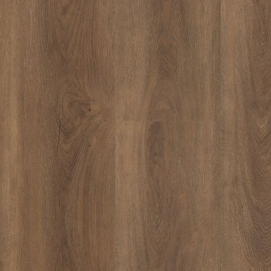 Ambiant Robusto click SRC warm brown