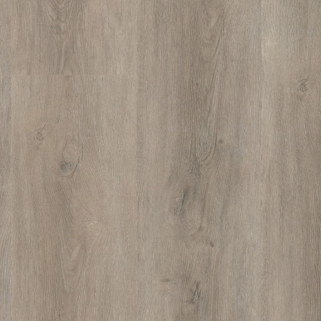 Ambiant Robusto click SRC light grey