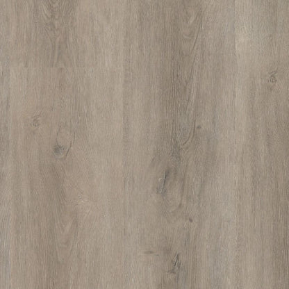 Ambiant Robusto click SRC light grey