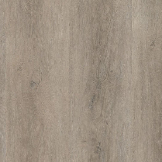 Ambiant Robusto click SRC light grey