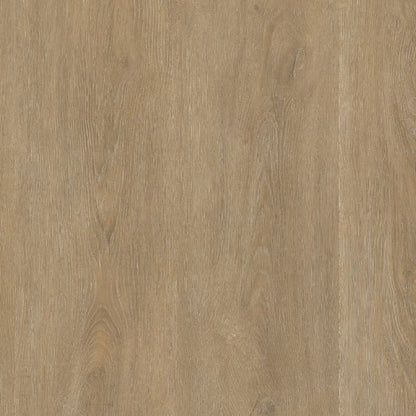 Ambiant Robusto click SRC natural oak