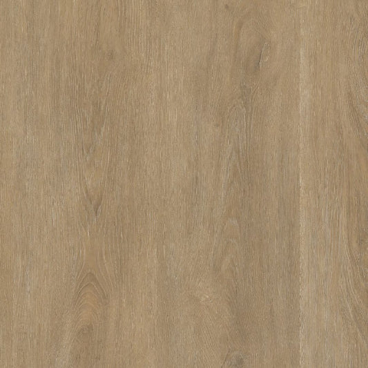 Ambiant Robusto click SRC natural oak
