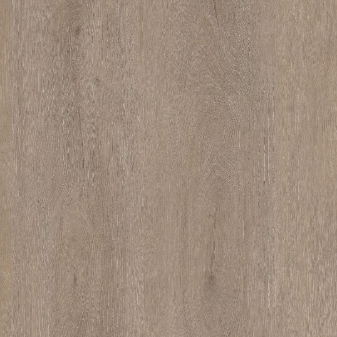 Ambiant Robusto click SRC light oak