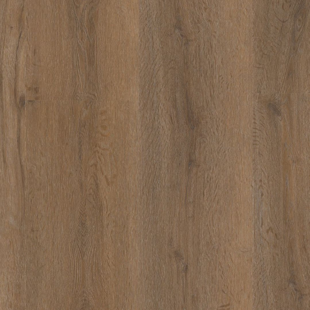 Ambiant Vivero click SRC smoky