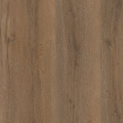 Ambiant Vivero click SRC smoky