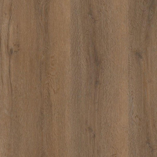 Ambiant Vivero click SRC smoky