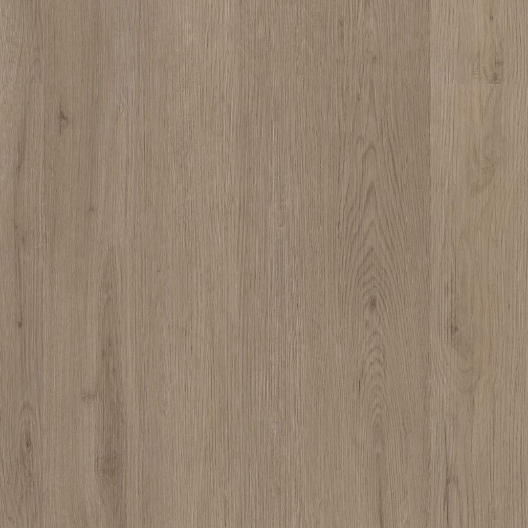 Ambiant Venera dryback smoky