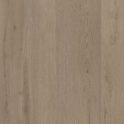 Ambiant Venera dryback smoky