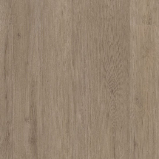 Ambiant Venera dryback smoky