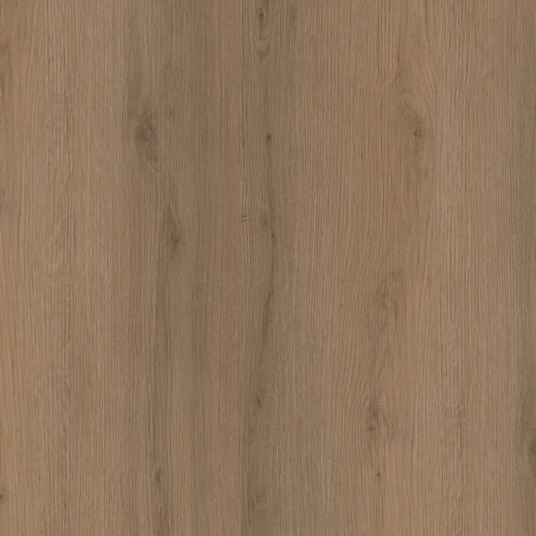 Ambiant Venera dryback dark oak