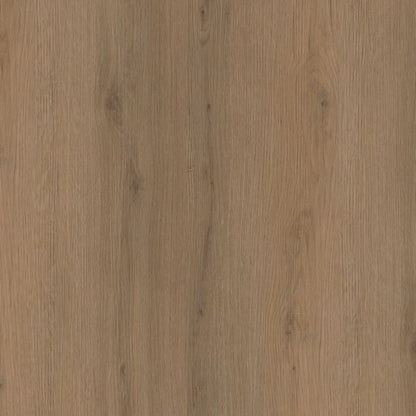 Ambiant Venera dryback dark oak
